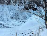 沈陽周邊玉龍溪大峽谷風景區|超級好玩的雪圈