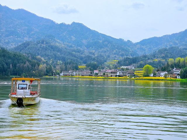 天朗氣清，踏青春山