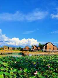 長嶺湖～免費體驗避暑，消夏好去處