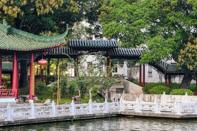 深圳｜ 市中心的一片寧靜！
