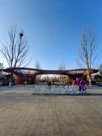 春日來賞花梅陇地區新開免費公園