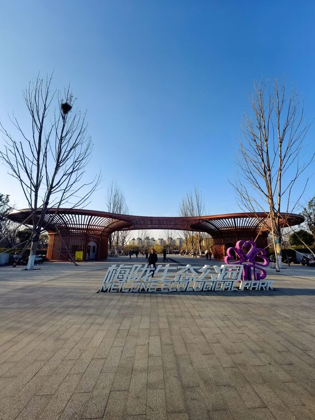 春日來賞花梅陇地區新開免費公園