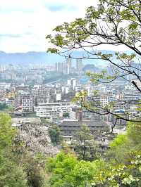 五一天夜游宜宾 复制這路線好玩又好吃