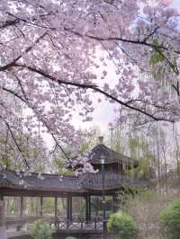 Hangzhou West Lake Beautiful Place 🇨🇳