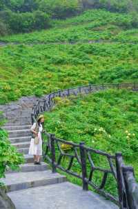 抓住重慶春天的尾巴 去鮮花盛開的山坡