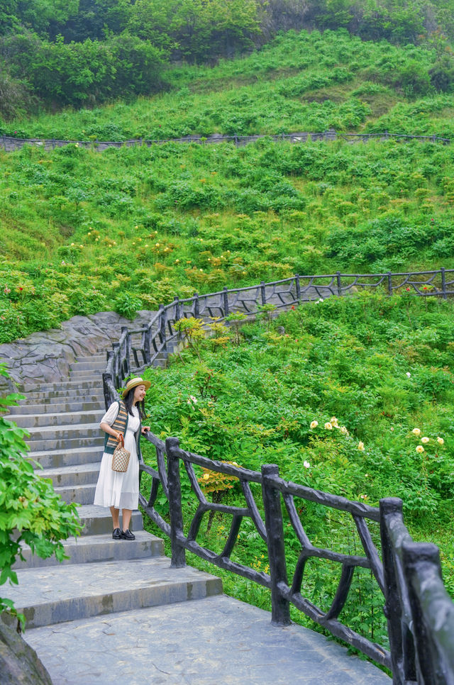 抓住重慶春天的尾巴 去鮮花盛開的山坡