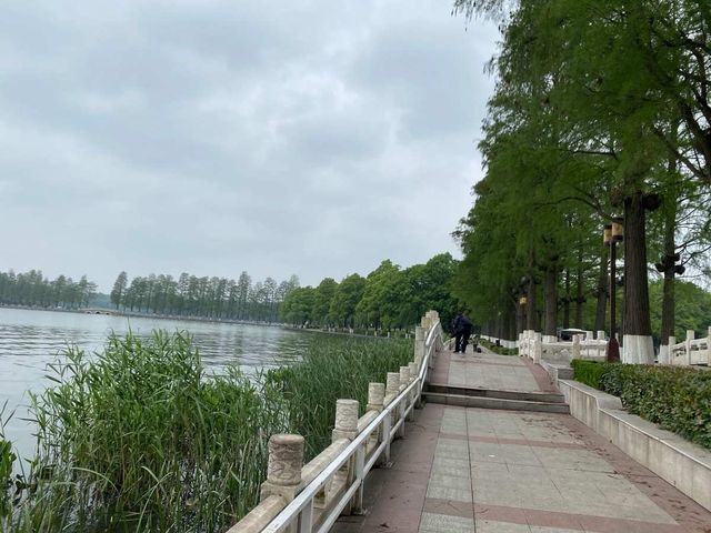 武漢東湖之美