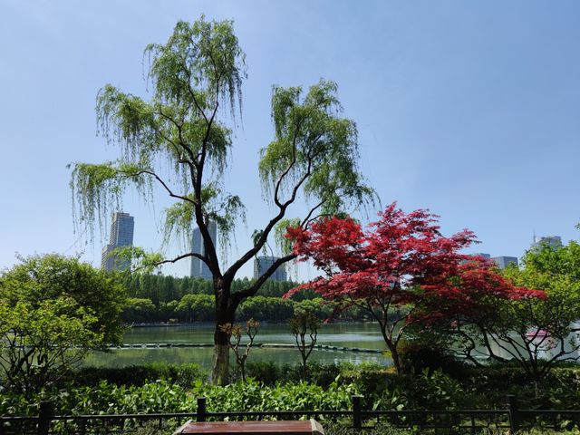 江蘇南京｜六朝皇家園林，現在城市休閒公園