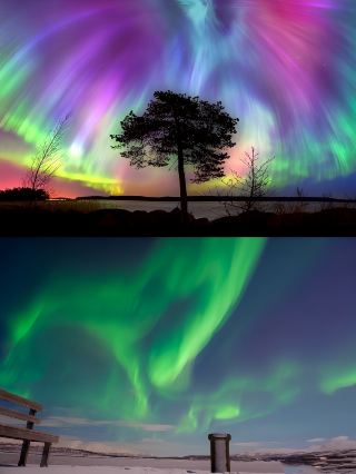 Explore the mysterious Arctic realm and encounter the Abisko Aurora Sky Station