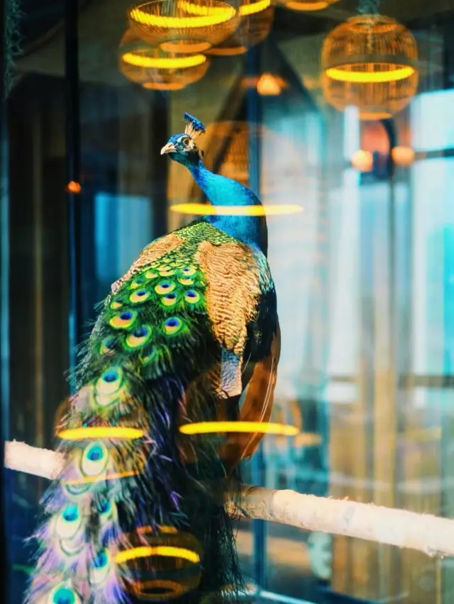 The Changsha Thai SPA with a peacock villa is absolutely amazing