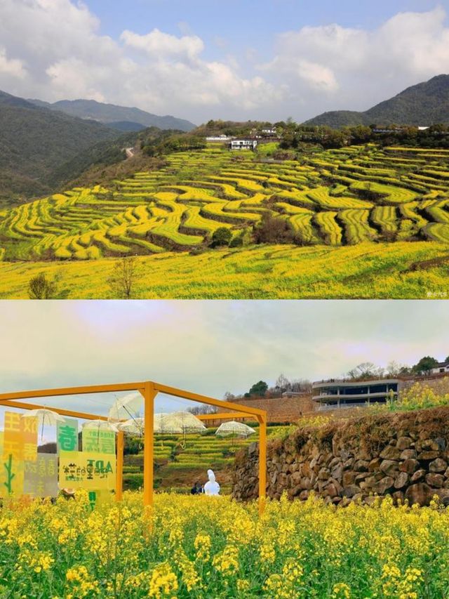 紹興覆卮山景區賞油菜花
