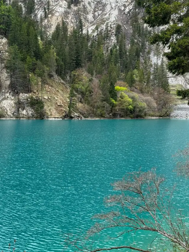 Captured the indescribably beautiful scenery in Jiuzhaigou|||This is Jiuzhaigou on May 2nd