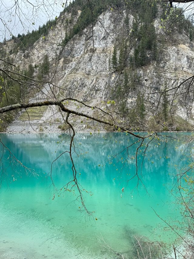 在九寨溝拍到了無法抉擇的美景|||這是5月2日的九寨溝