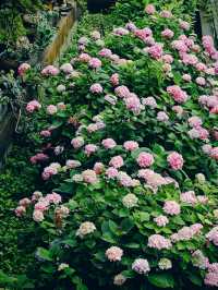 德陽 綿竹一日遊