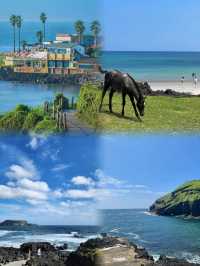 濟州島3天遊無腦可跟保姆級攻略～