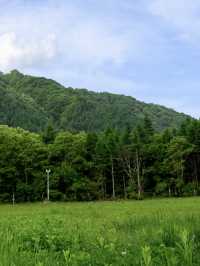 巴中人也有自己的「阿勒泰」，還可露營～