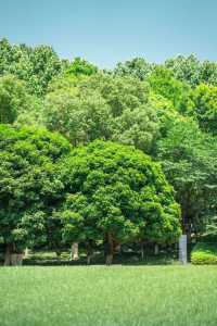 在武漢找到一座像千尋神公園
