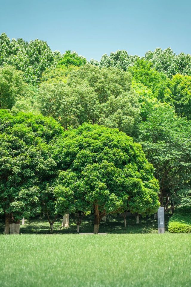 在武漢找到一座像千尋神公園
