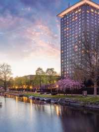 🌟 Amsterdam's Chic Sleeps: Hotel Okura's Luxe Experience 🌟