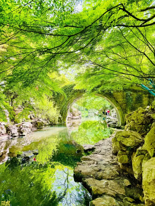 從柳浪聞鶯走西湖邊賞春