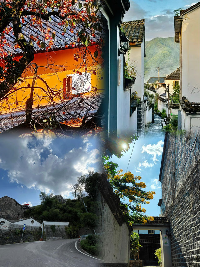 紹興覆卮山•我宣布這是最美小眾徒步地