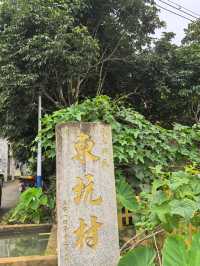 遠方不遠只要心之所向第二十二篇～～饒平東坑村