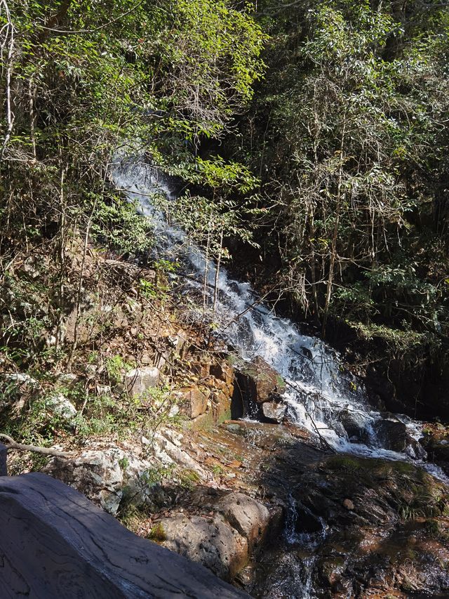 龍棲山