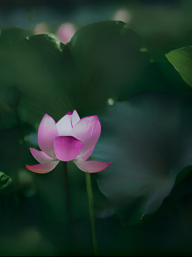 以為玄武湖已經夠美了，直到我去了這裡