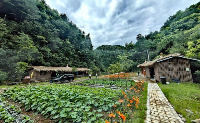 避暑聖地·四川·廣元·曾家山