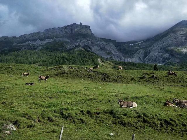 《瑞士全景之旅：初體驗阿爾卑斯山腳下的寧靜與美好》