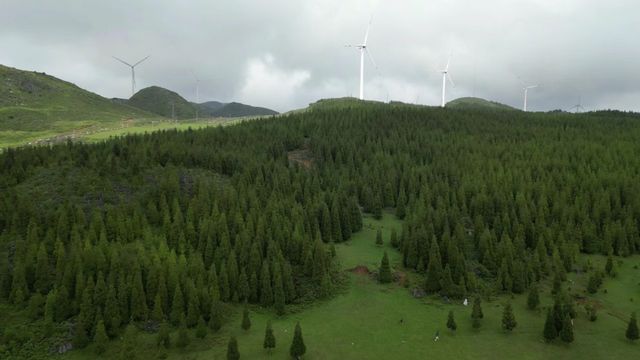 個舊蓮花山| 一場與自然的浪漫邂逅～