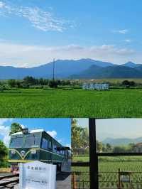 袁夫稻田農場實地測評