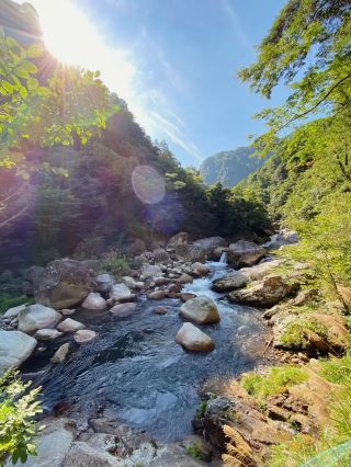 Changsha Surrounding Tours | Zhuzhou Shenlong Valley Forest Park