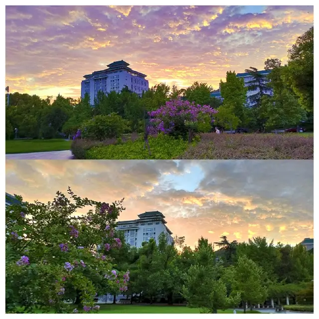 The beauty of Wuhan University is not only in the cherry blossom season; the summer beauty is also breathtaking