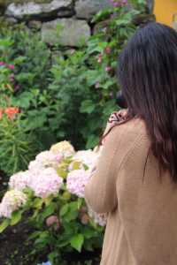 林芝-波密仁青客棧