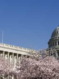 🏛️ Discover Washington D.C.'s Historical Gems ✨