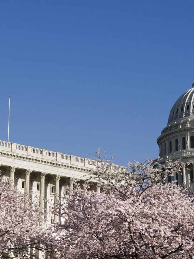 🏛️ Discover Washington D.C.'s Historical Gems ✨