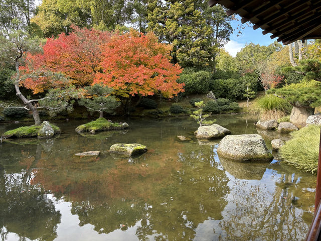 新西蘭北島第二大城市漢密爾頓一日遊