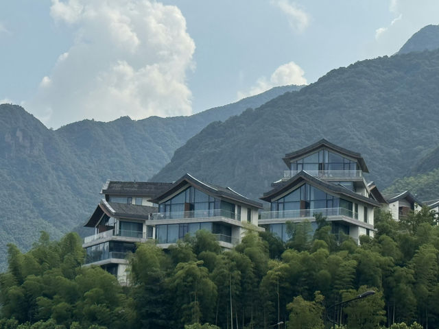 救命到底是谁说莫干山能避暑的