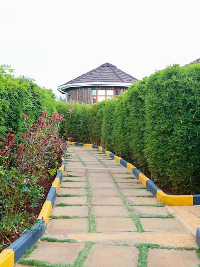 🌟 Top Kenya Stays: Aberdare Prestige & Royal Cottages 🏞️✨