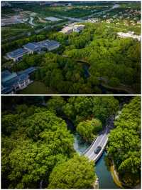 說好的，在酒店裡散步竟成了叢林徒步