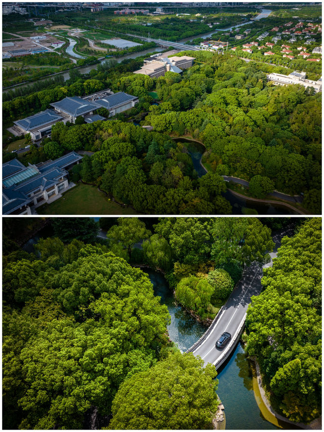 說好的，在酒店裡散步竟成了叢林徒步