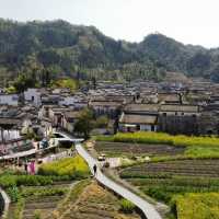 Timeless Beauty in Xidi Village