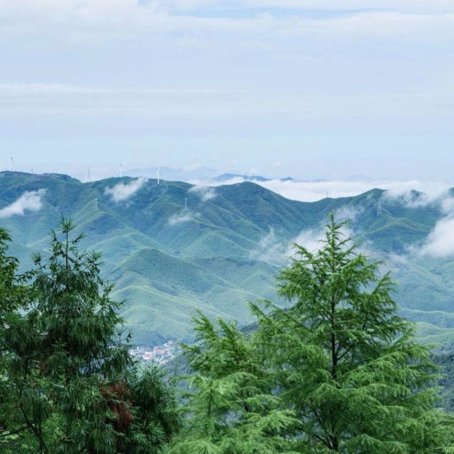 【浙江省/湖州/莫干山】最高の景色、映えスポット！