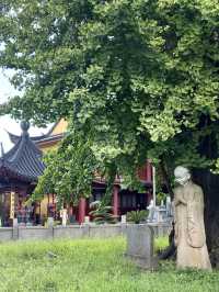 沒有名氣卻值得一遊的報國寺