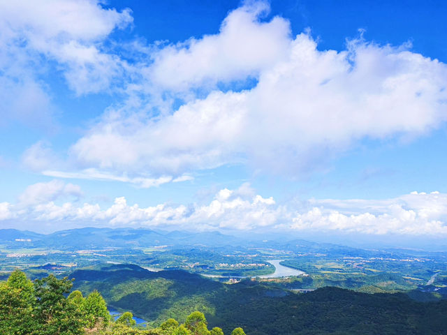 太子坑森林公園，隱藏於都市喧囂之外的綠色寶地