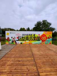 2024北京第2屆巨型南瓜王國。