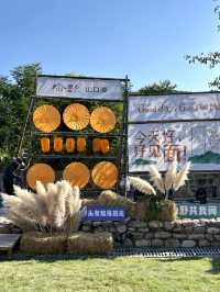 合肥旅遊｜打卡藏在肥東冷門又寶藏的古村落。