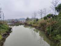 廣西容縣都峤山。