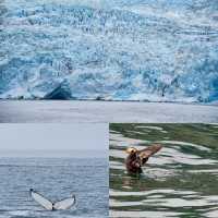 Travel to Alaska such an amazing trip